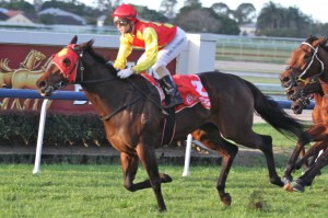 Discreet is our Top Tip at Doomben today