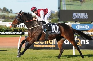 Generalife - Winter Stakes 2014