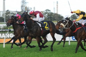 Generalife - Festival Stakes 2014