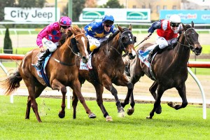 Gloop winning the Aquanas Foods Handicap at Race Club ridden by Daniel Stackhouse and trained by Chris Hyland - (photo by Steven Dowden/Race Horse Photos Australia)
