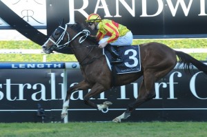 I'm Imposing - 2014 Winter Challenge Field