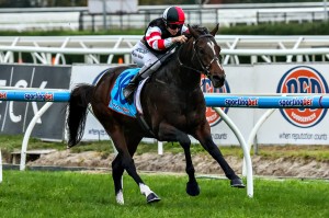 Lord of the Sky will jump as the Monash Stakes favourite