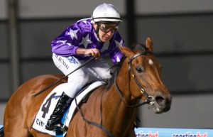 Queenstown - Winter Challenge 2014