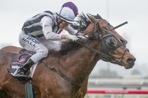 Nearest To Pin, Nick Hall