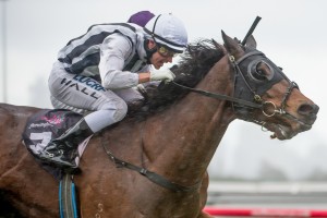 Nearest To Pin - Bletchingly Stakes 2014