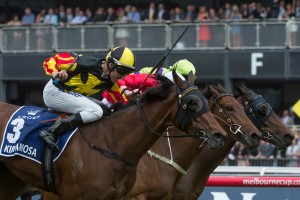 Kirramosa, Nash Rawiller