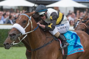 Moment of Change, Luke Nolen