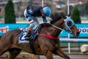 The Cleaner - Dato Tan Chin Name Stakes 2014