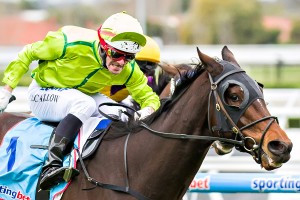 Self Sense is our Top Tip at Caulfield today