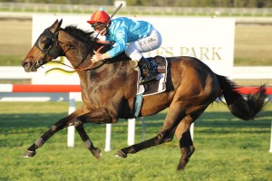 Testarhythm - Ramornie Handicap 2014