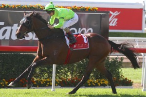 Transporter - Tattersall's Mile 2014