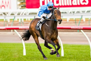 Vain Queen - All Victorian Sprint Series Final 2014