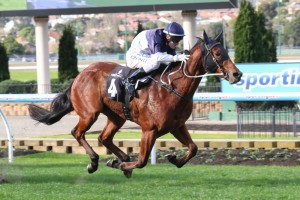 NORDIC EMPIRE winning the  Mitchelton Wines Handicap 1000m  at Moonee Valley ridden by Craig Newit and trained by Mick Price - (photo by Race Horse Photos Australia)