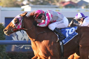 After Baron - Larry Cassidy