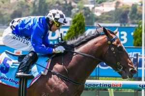 Chivalry - McNeil Stakes 2014