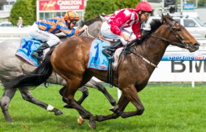 Iconic winning the Nine West Plate at Caulfield 
