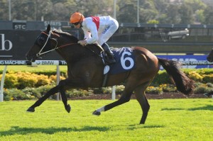 Messene - Missile Stakes 2014