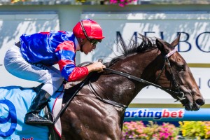 Nayeli - The Rosebud 2014