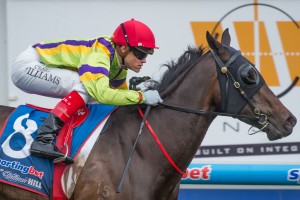 Hard Stride, Craig Williams