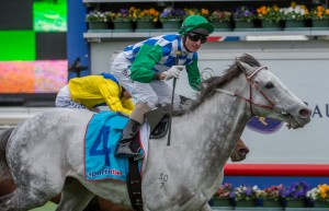 Puissance De Lune - Turnbull Stakes 2014