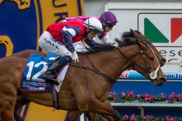 Sabatini headlines 2014 Cap D'Antibes Stakes Field