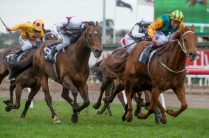 Tiger Tees, Damien Oliver