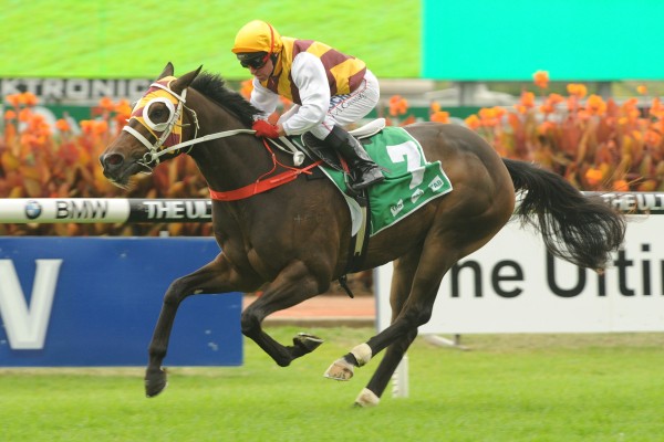 Sniper Fire - Run To The Rose 2014