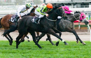 Commanding Jewel - Lets Elope Stakes