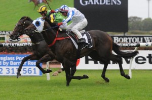 Dissident is the best backed runner in the Makybe Diva Stakes 2014