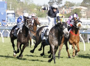Fawkner - Melbourne Cup 2014