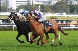 Hawkspur - George Main Stakes 2014