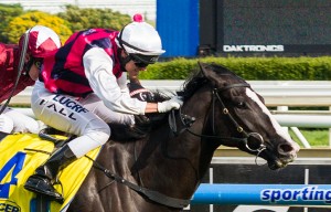 It Is Written - McEwen Stakes 2014