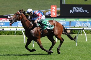 Laidback Larry  - Wyong Gold Cup 2014