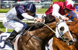 Lion Of Belfort - Dato Tan Chin Nam Stakes day 2014 Top Tip