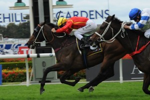 Ninth Legion - Theo Marks Stakes 2014