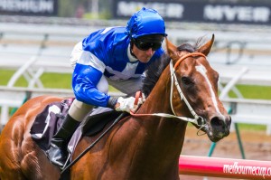 Nostradamus - 2014 Golden Rose