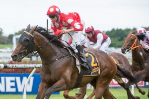 Bachman - Victoria Derby 2014