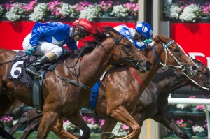 Bring Me The Maid - Golden Rose 2014