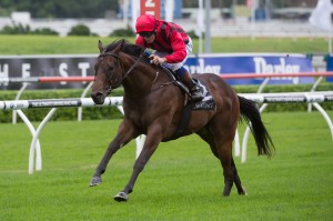 Hallowed Crown, Christian Reith