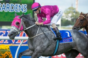 Catkins is our Top Tip at Rosehill today