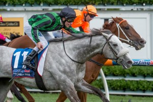 Gris Caro, Ben Melham