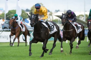 Silent Achiever - Underwood Stakes 2014