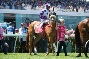 Hawkspur - Chelmsford Stakes