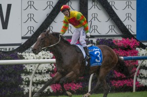 Lankan Rupee is the late mail in the 2014 McEwen Stakes