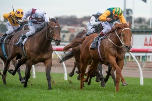 Tiger Tees - Tramway Stakes