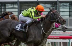 Commanding Jewel - Let's Elope Stakes 2014