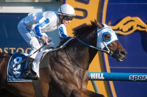 Dissident - 2014 Makybe Diva Stakes Field