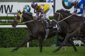 Sacred Falls - Chelmsford Stakes 2014