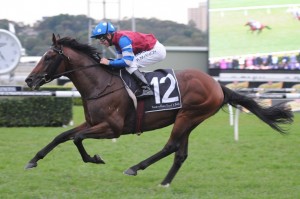 Spillway - The Metropolitan 2014