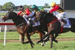 Temple Of Boom - 2014 Bobbie Lewis Stakes field, odds and betting